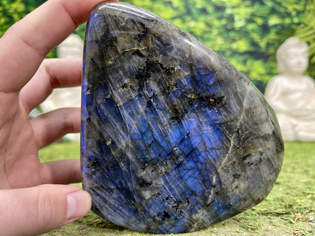 "INTO THE MYSTIC BLUE" Labradorite Specimen 6.00 High Quality Gemstone NS-670