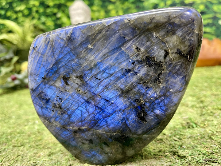 "INTO THE MYSTIC BLUE" Labradorite Specimen 6.00 High Quality Gemstone NS-670