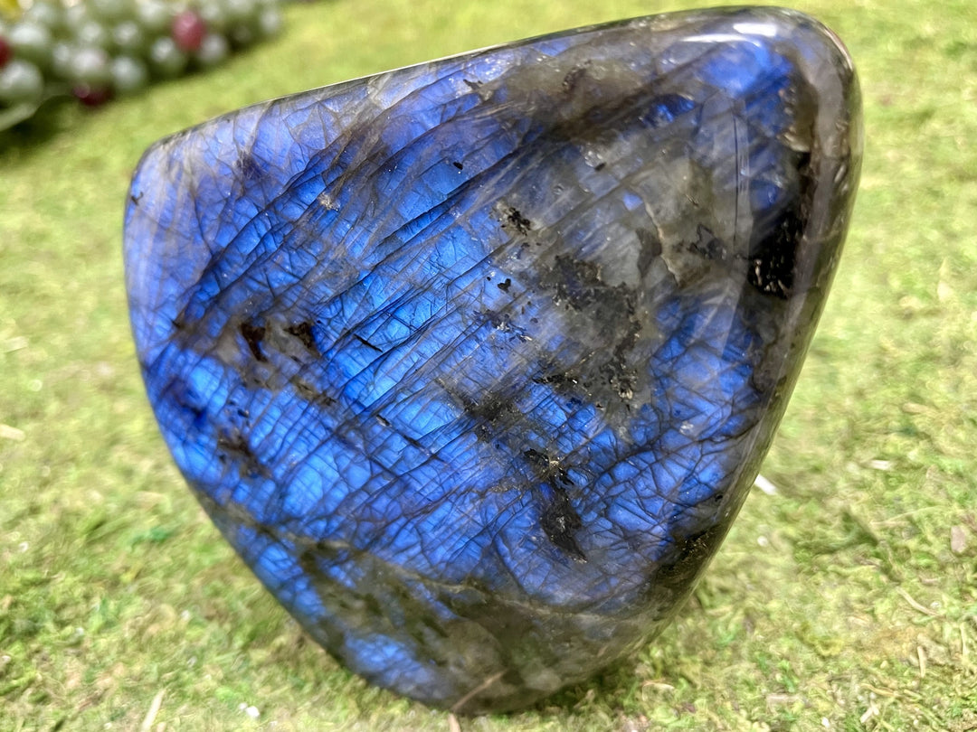 "INTO THE MYSTIC BLUE" Labradorite Specimen 6.00 High Quality Gemstone NS-670