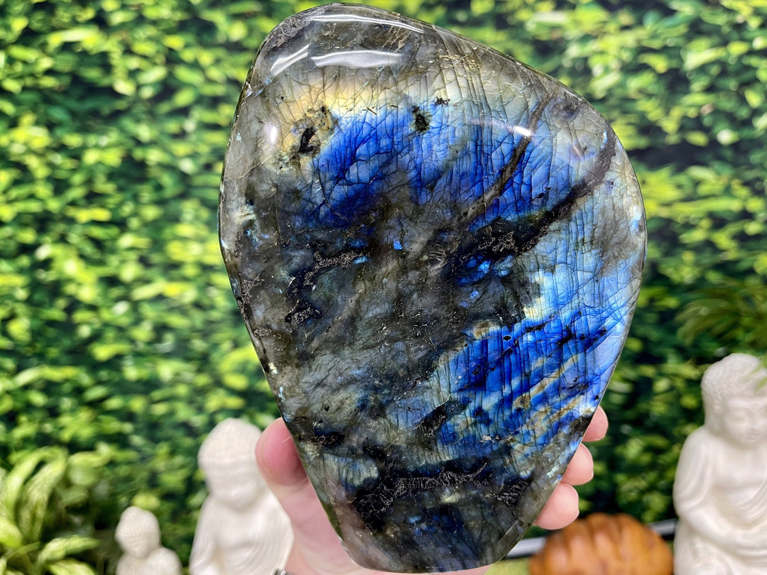 "HEALER'S HAND" Labradorite Specimen 7.50 High Quality Gemstone NS-671