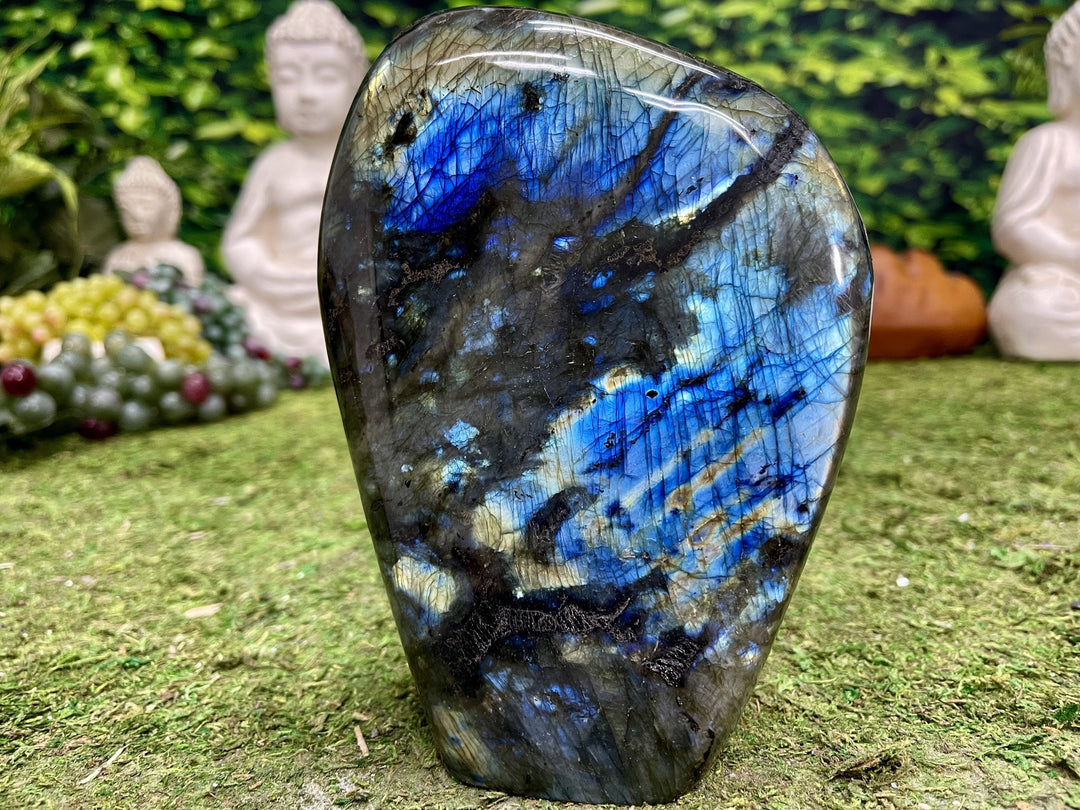"HEALER'S HAND" Labradorite Specimen 7.50 High Quality Gemstone NS-671
