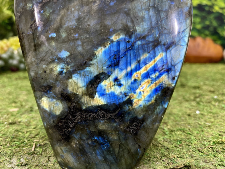 "HEALER'S HAND" Labradorite Specimen 7.50 High Quality Gemstone NS-671