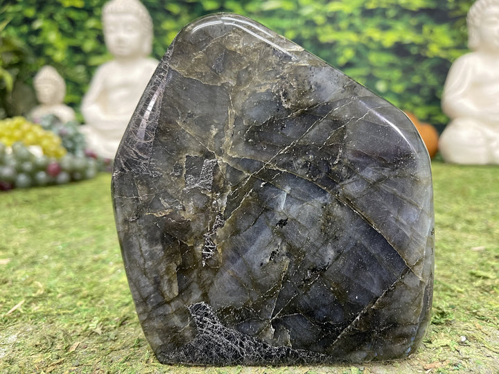 "SHINE ON YOU CRAZY CRYSTAL" Labradorite Specimen 6.00 High Quality Gemstone NS-673