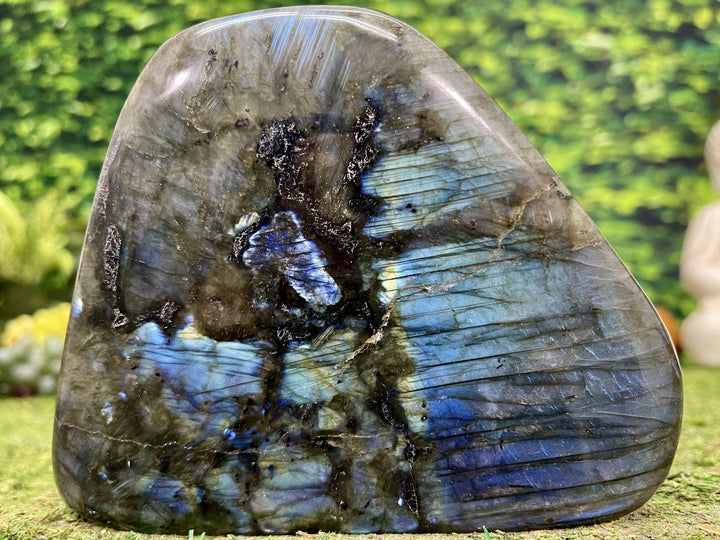 "DO YOU BELIEVE IN MAGIC?" Labradorite Specimen 5.00 High Quality Gemstone NS-674