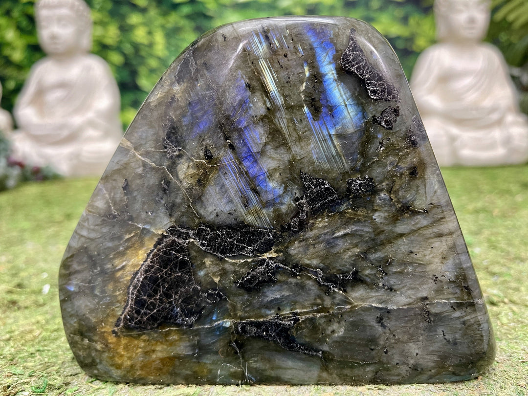 "DO YOU BELIEVE IN MAGIC?" Labradorite Specimen 5.00 High Quality Gemstone NS-674