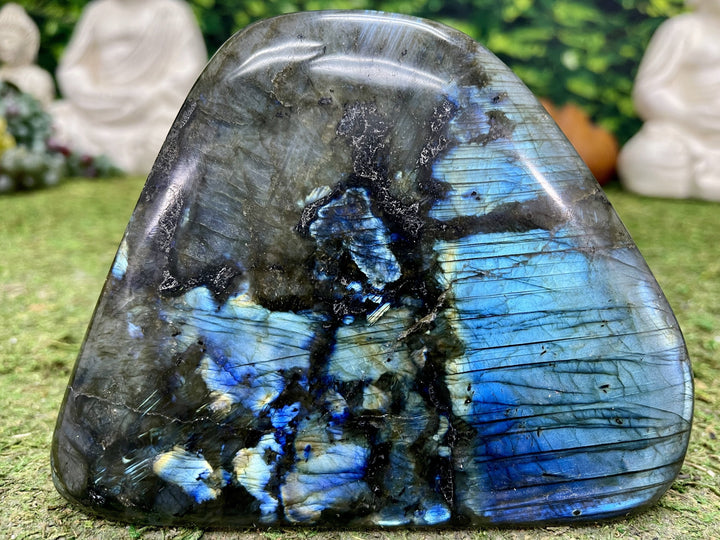 "DO YOU BELIEVE IN MAGIC?" Labradorite Specimen 5.00 High Quality Gemstone NS-674