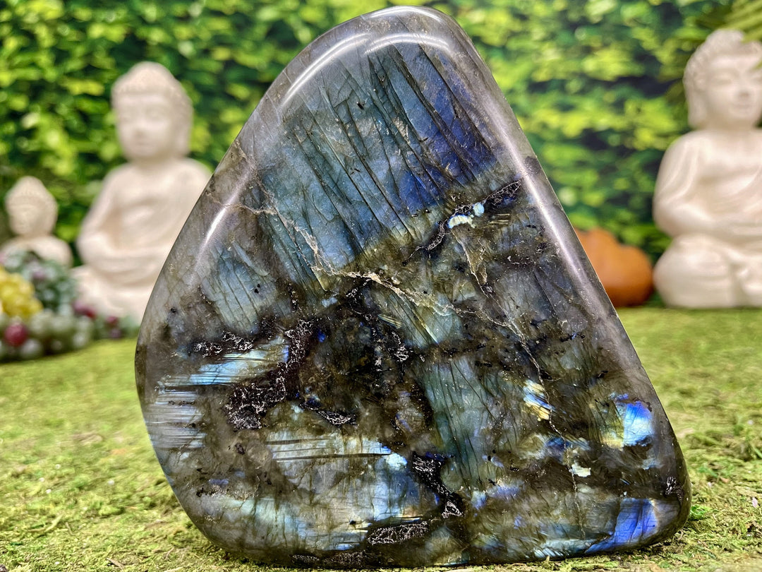 "DO YOU BELIEVE IN MAGIC?" Labradorite Specimen 5.00 High Quality Gemstone NS-674