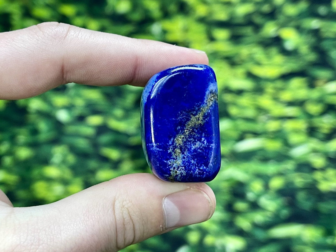 "CLEOPATRA CLAIRVOYANCE" High Quality Lapis Lazuli Specimens Lazurite & Pyrite