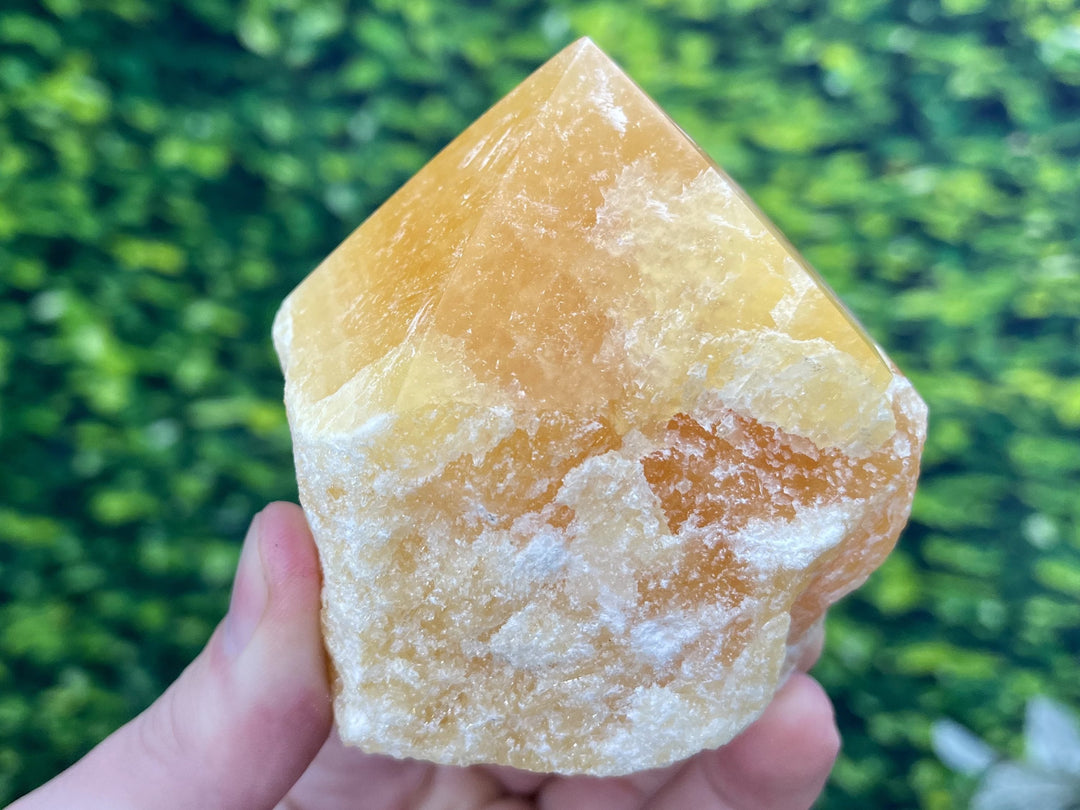 "DELICIOUS DREAMSICLES" Orange Calcite Crystal Point HIGH QUALITY Healing Gemstone