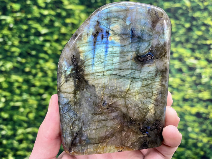 "BRIGHT SHINING STAR" Labradorite Specimen 5.00 High Quality Gemstone JP-12