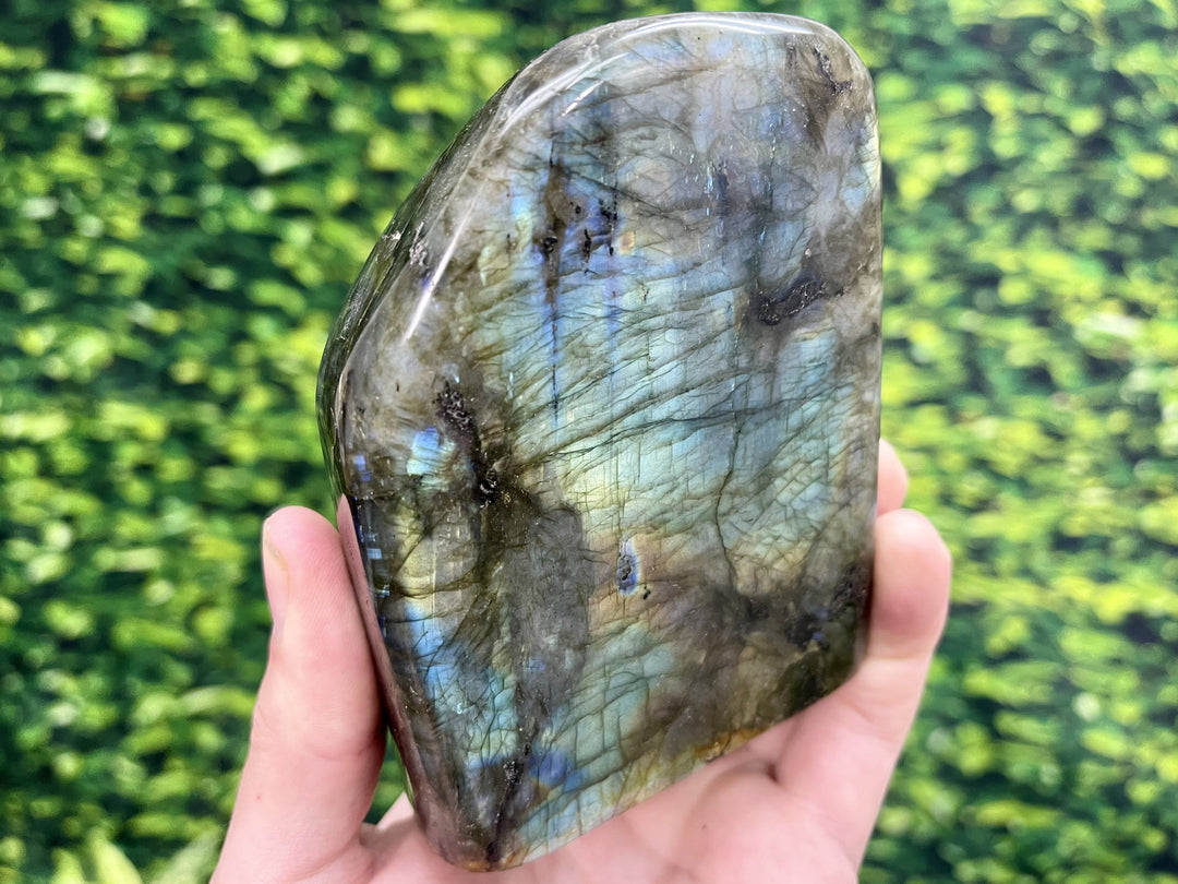 "BRIGHT SHINING STAR" Labradorite Specimen 5.00 High Quality Gemstone JP-12
