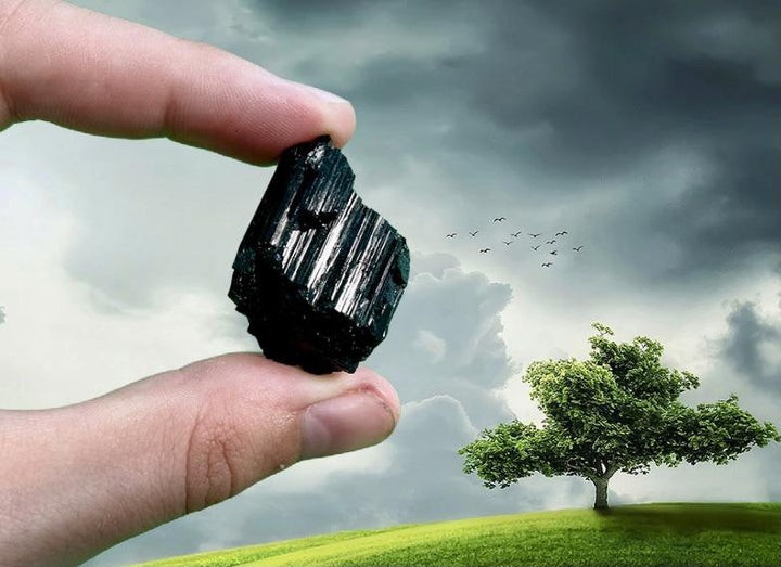 "SHELTER FROM THE STORM" Black Tourmaline High Quality Raw Crystal