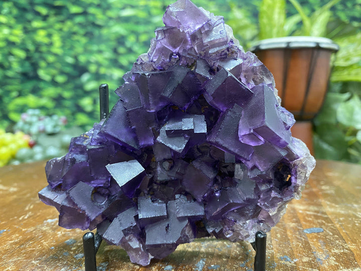 Purple Fluorite w Stand "RARE MARVEL OF MOTHER NATURE" 4.50 Illinois MUSEUM QUALITY NS-164