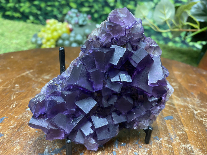 Purple Fluorite w Stand "RARE MARVEL OF MOTHER NATURE" 4.50 Illinois MUSEUM QUALITY NS-164