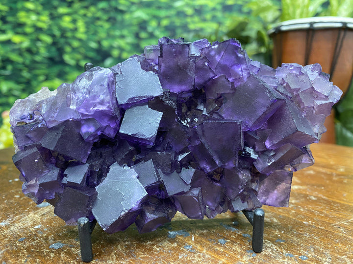 Purple Fluorite w Stand "HEALING CUBES" 5.50 Illinois MUSEUM QUALITY NS-165