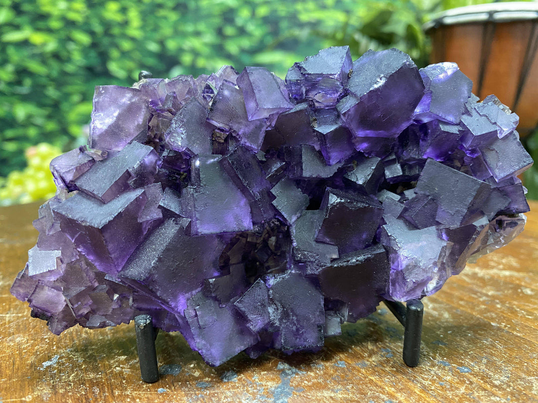 Purple Fluorite w Stand "HEALING CUBES" 5.50 Illinois MUSEUM QUALITY NS-165