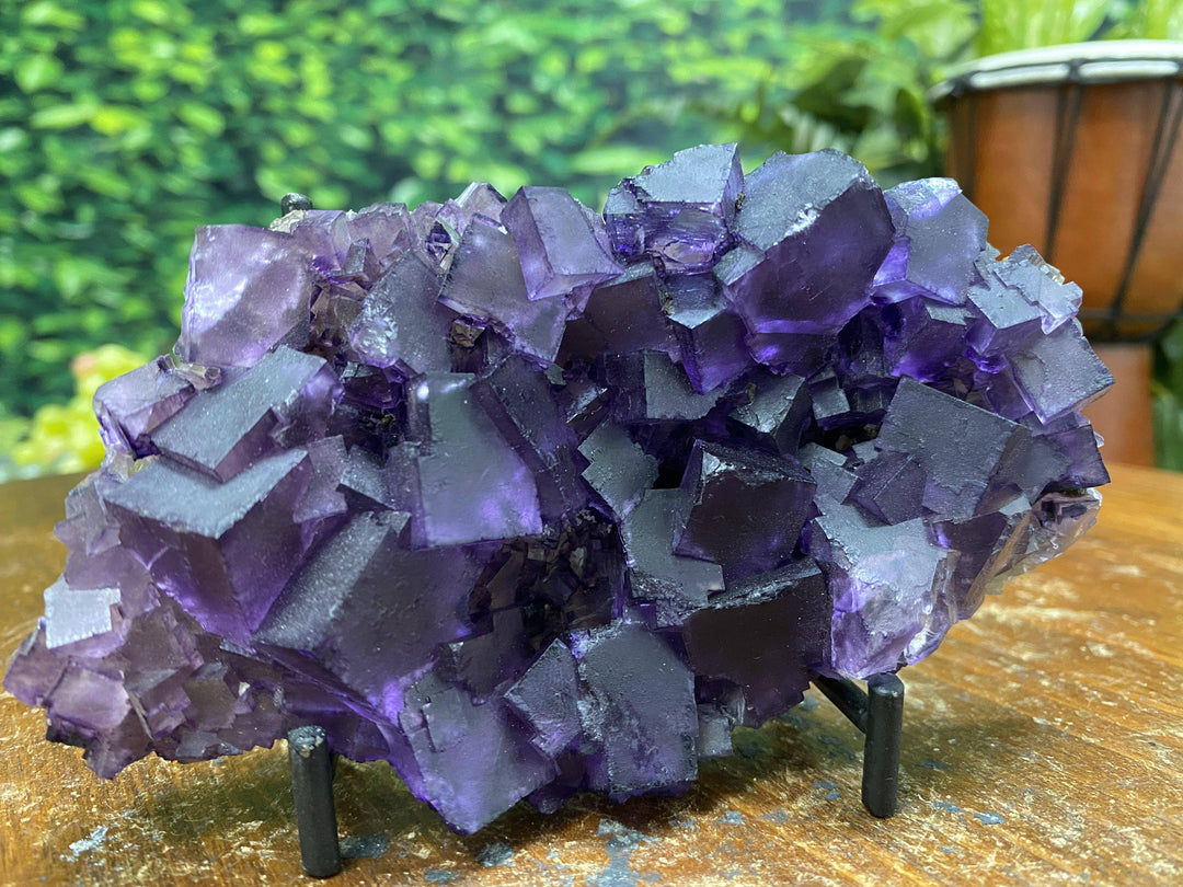 Purple Fluorite w Stand "HEALING CUBES" 5.50 Illinois MUSEUM QUALITY NS-165