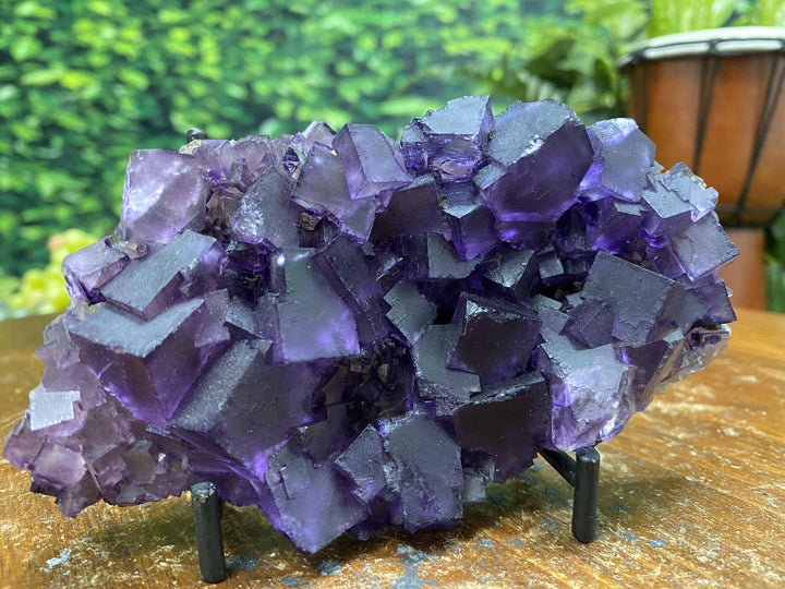 Purple Fluorite w Stand "HEALING CUBES" 5.50 Illinois MUSEUM QUALITY NS-165