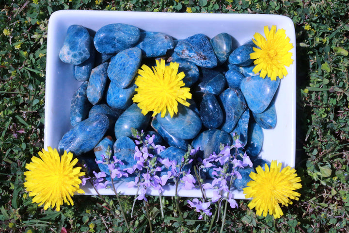 Tumbled Blue Apatite Stone "Releases Guilt"