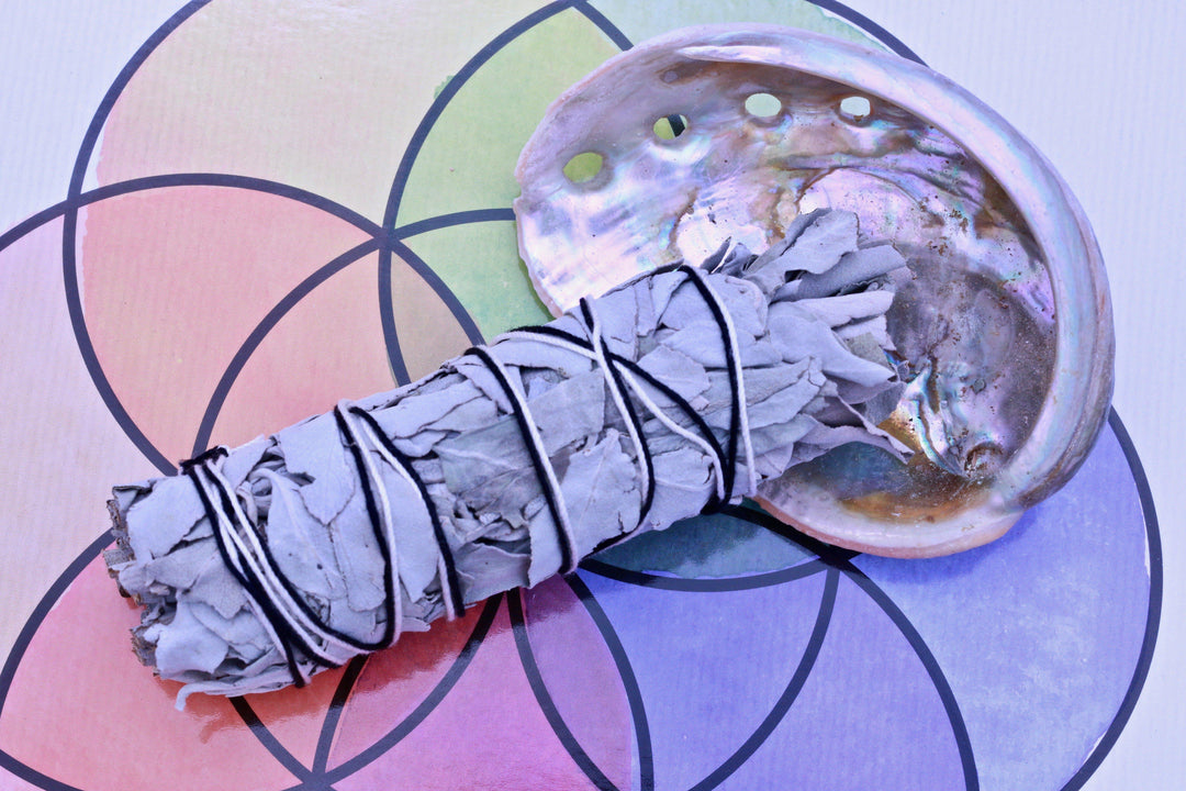 Sage Energy Cleansing Set Smudging Abalone Shell Organic California