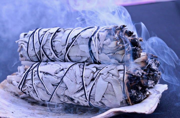 Sage Energy Cleansing Set Smudging Abalone Shell Organic California