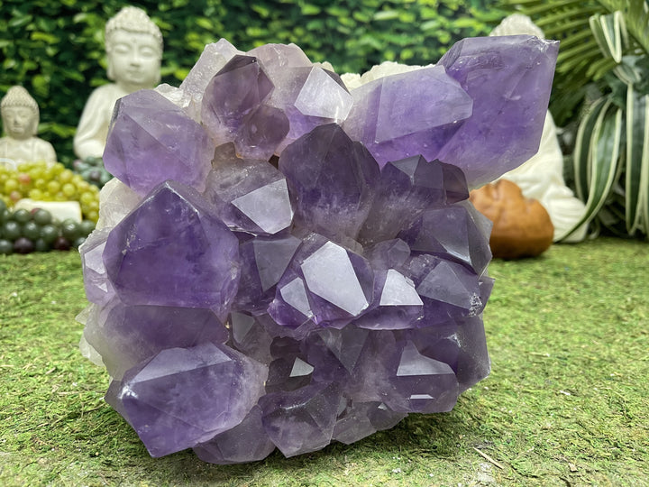 "POWERFUL PURPLE PRESENCE" Huge Bolivian Amethyst Geode Cluster 10.00 High Quality NS-655