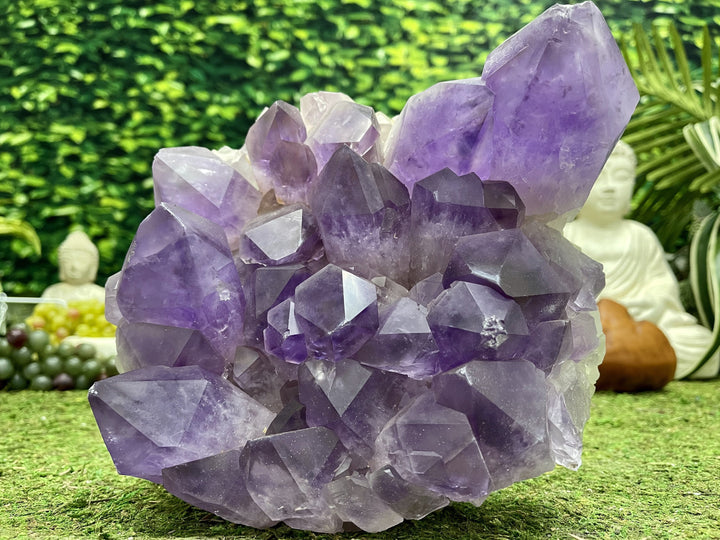 "POWERFUL PURPLE PRESENCE" Huge Bolivian Amethyst Geode Cluster 10.00 High Quality NS-655