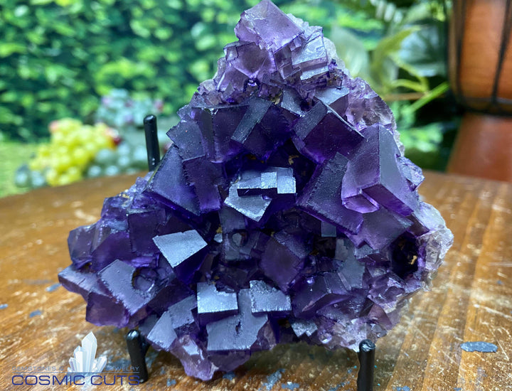 Purple Fluorite w Stand "RARE MARVEL OF MOTHER NATURE" 4.50 Illinois MUSEUM QUALITY NS-164