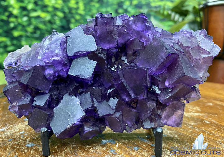 Purple Fluorite w Stand "HEALING CUBES" 5.50 Illinois MUSEUM QUALITY NS-165